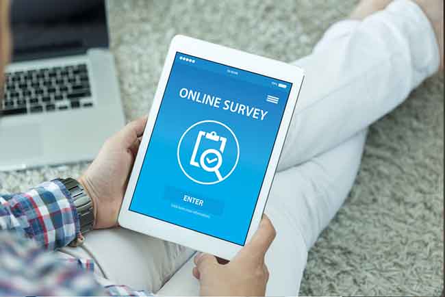 online survey taker
